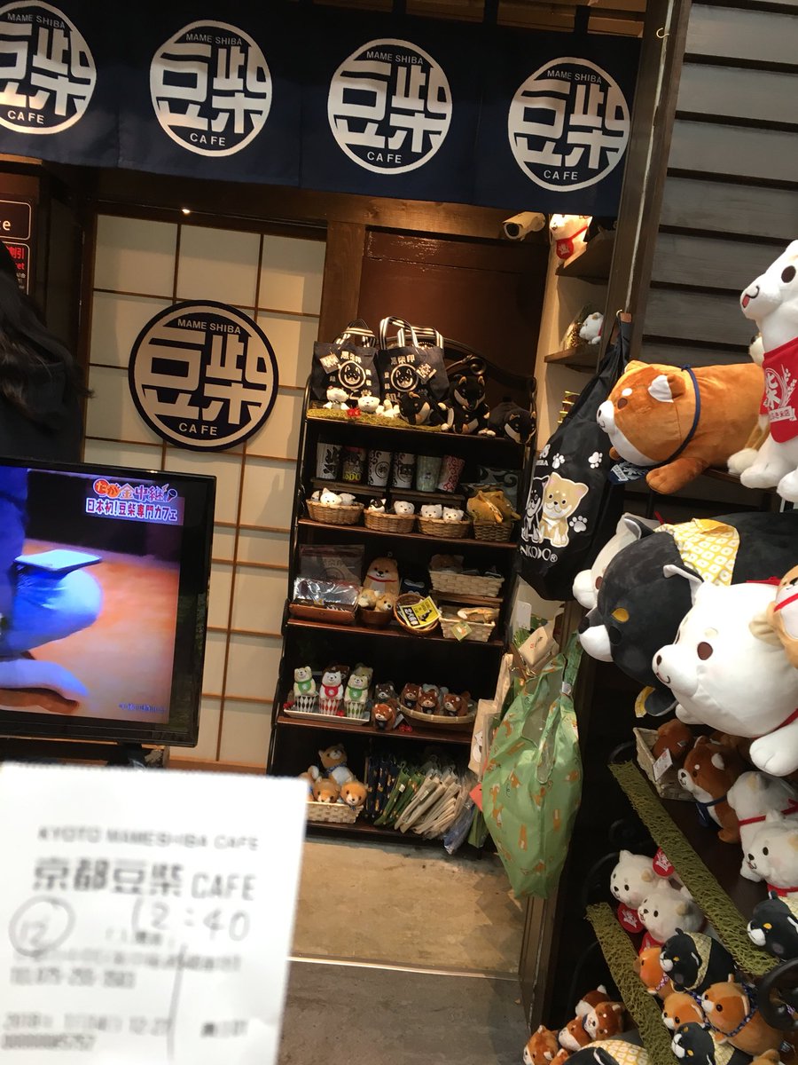 煉獄caren 芽依 U W さっき豆柴カフェ行ってきた 可愛かった でも元気ないガリガリのコばかり 豆柴 とゆう犬種はなく 柴犬をご飯少なく散歩させずに飼育すると発育不良で豆柴になる わかってはいたけど皆骨が浮き出ていて可哀想だった