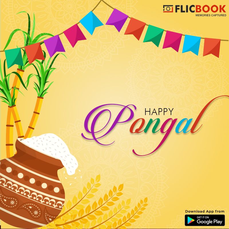 flicbookapp's tweet photo. Make room for new memories for your home by welcoming Pongal #HappyPongal https://t.co/MhwmV99c5z