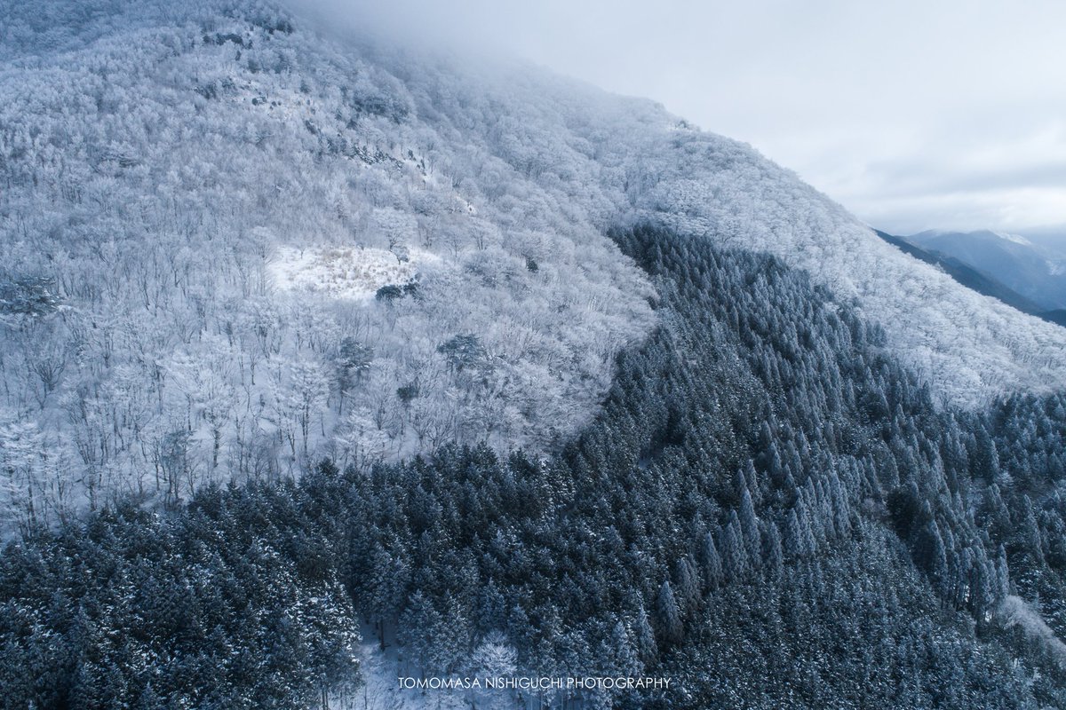ise_photography's tweet photo. ドローンと雪の相性が良いことが判明しました!!
※航空法を守り撮影しています。
#高見峠 #p4p #p4pp https://t.co/oKPtSirYuF