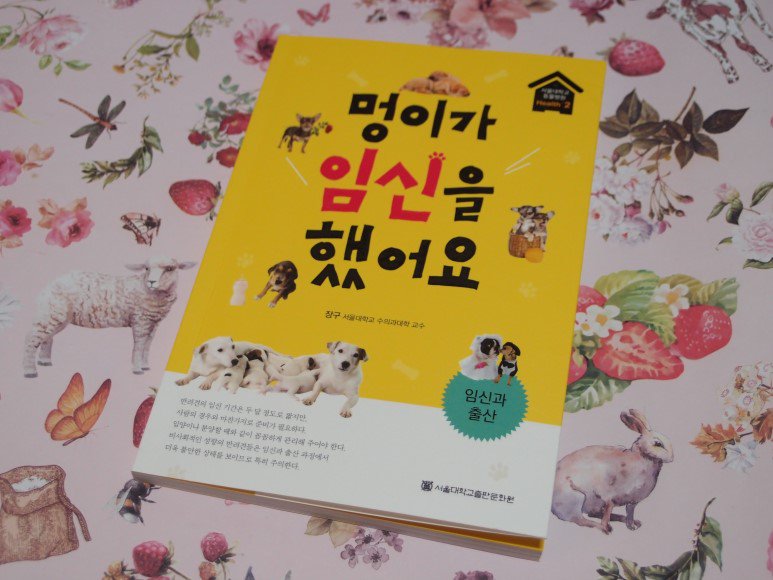 남순금 tweet media