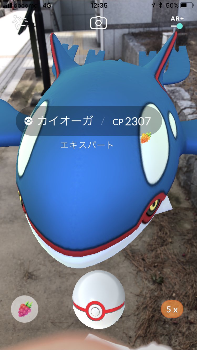 服部 晶 ポケモンgo カイオーガが遠くて難しい って聞いたんで 試しにar でやるとここまで近づけました ボールの投げ方とかコツさえ掴めば楽だと思います T Co Ojxahyziql Twitter