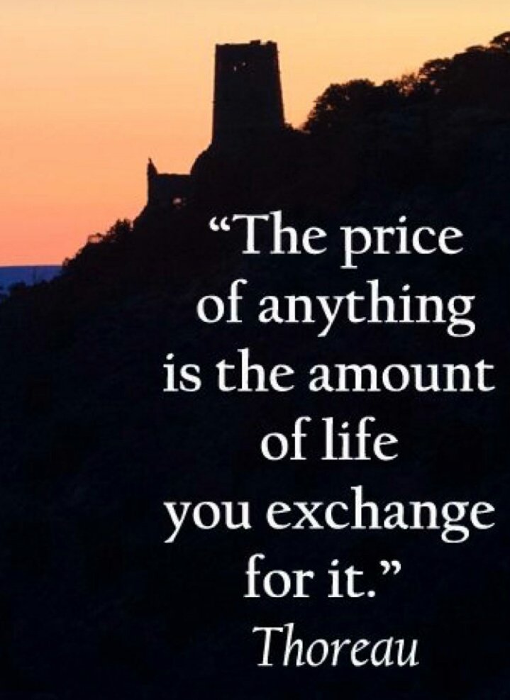 Dee Theart tweet media