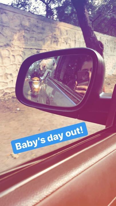 DishaParmarFans's tweet photo. Baby's day out! 🐕🐕
#InstaSatory❤ https://t.co/hjZkWj8eNv