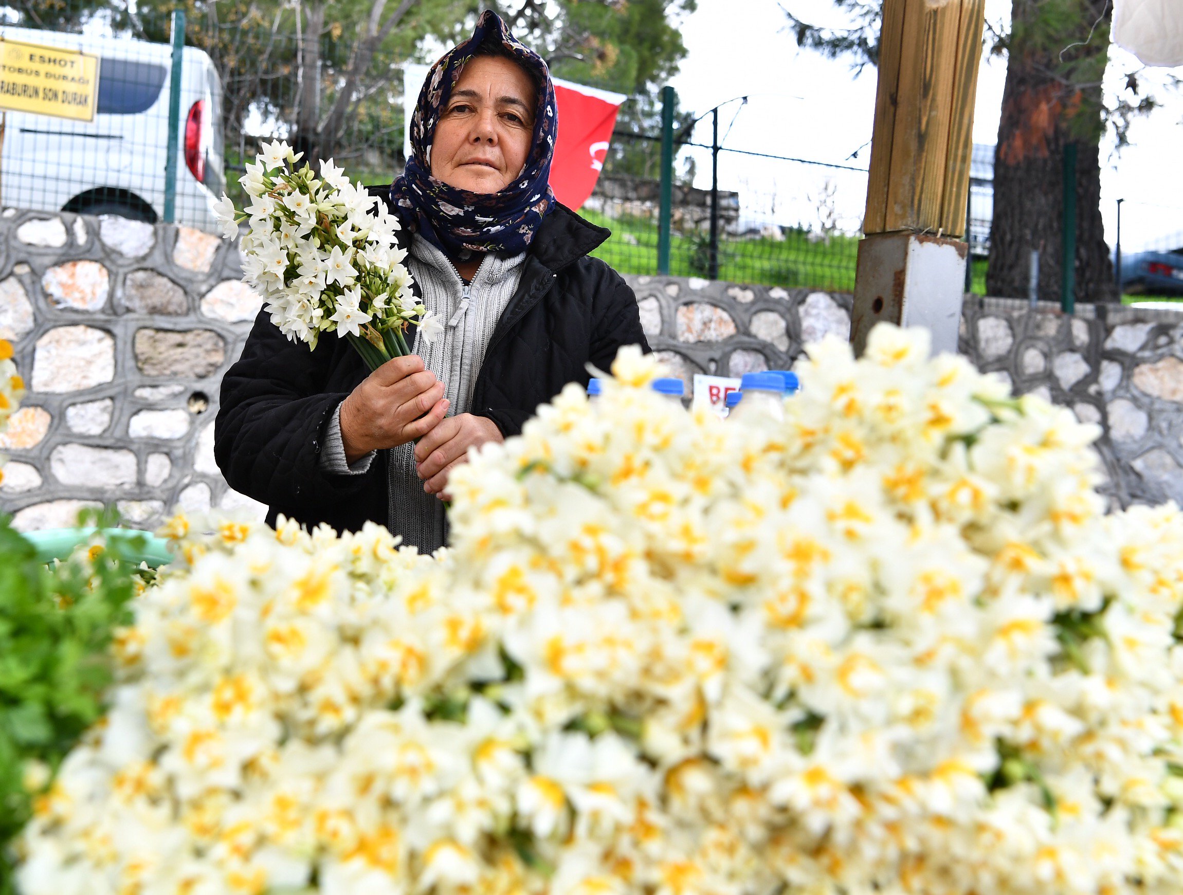 Nergis Festivali Nerede Yapılır 3