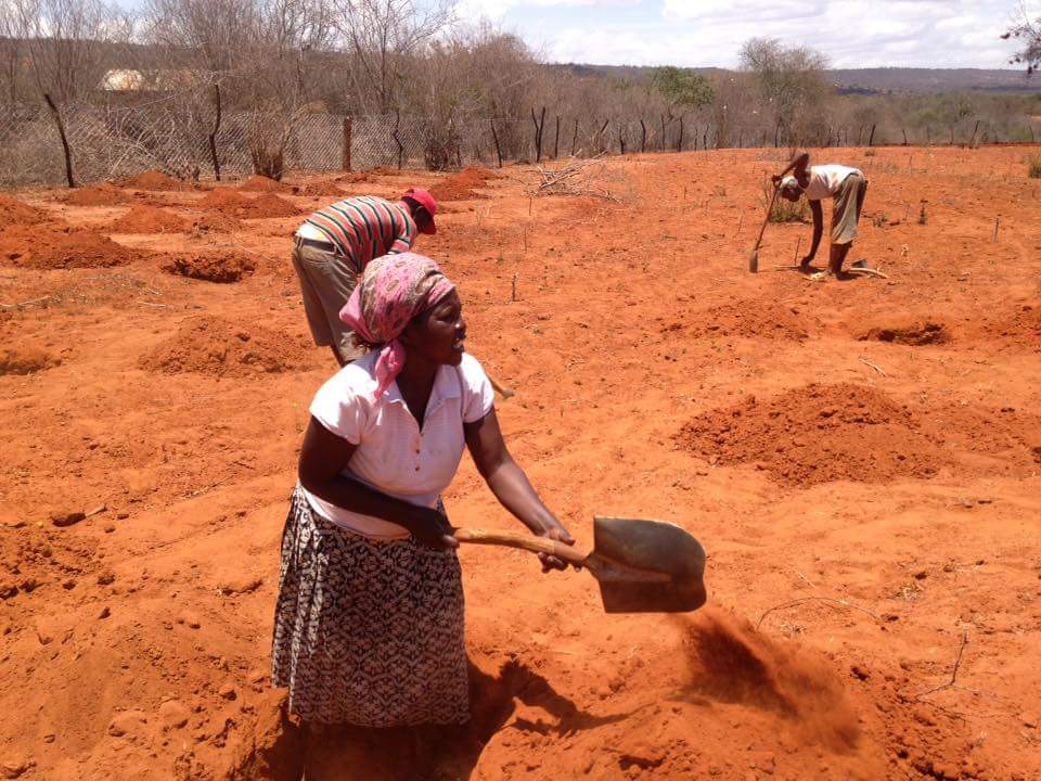 africawoodgrow's tweet photo. Reforestation of the drytropics #Kenya we do it and it's a ecologycall succes. Restoration improves life on Earth. https://t.co/UwHaqGc7cN