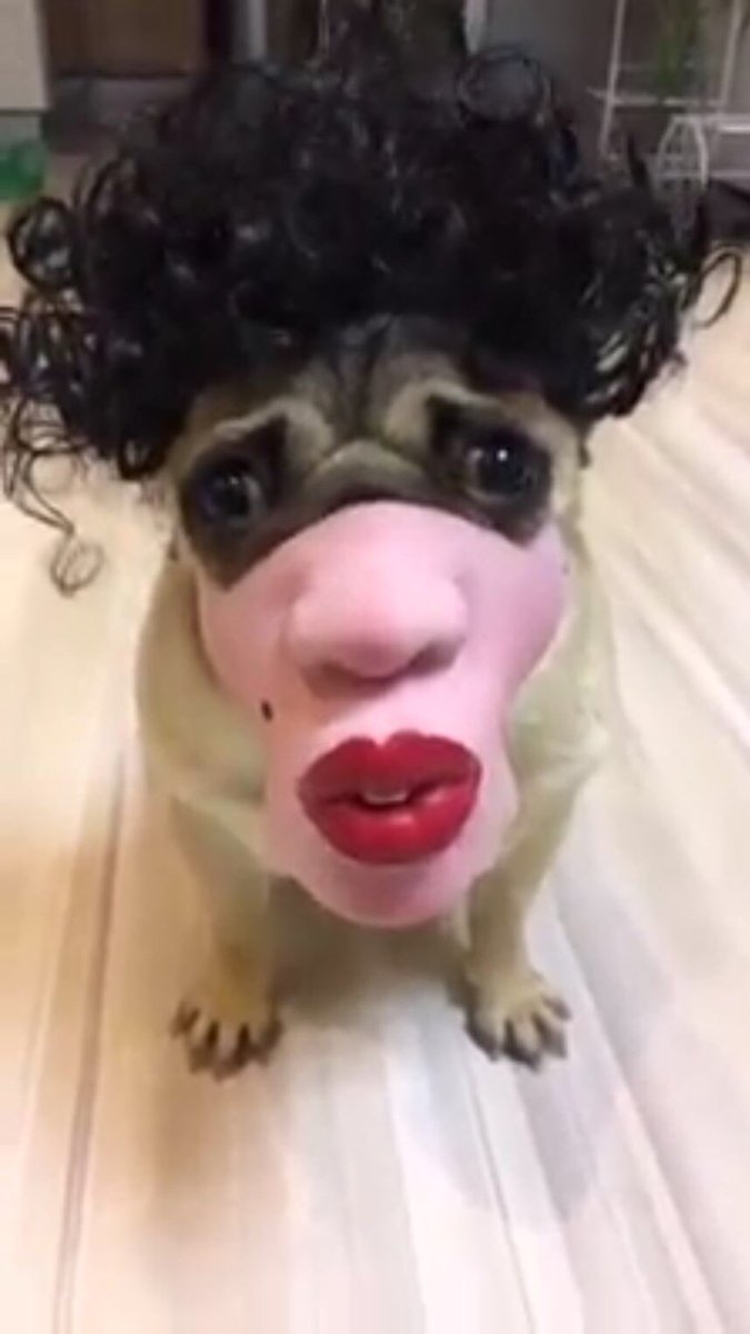 Katrín patrín (@yrarnadottir) on Twitter photo 