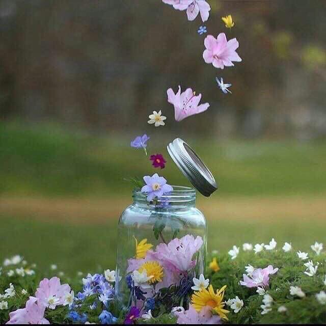 لا تكن متشائما كي لا تعيش المشكلة قبل حدوثها.. فليس من الحكمة أن تقفز حفرة قبل أن تراها, قيل
 "التشاؤم يذيقك مرارة الفشل قبل حدوثه"
❥❥❥
┊┊⇣
┊⇣
⇣ 

#صوت_الحق_للدعم
#اليك_كلامي