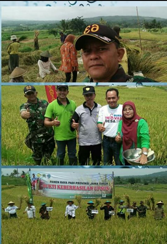 Wempi Catura 3519 (@wempicatur82) on Twitter photo #ManfaatDanaDesa padi tumbuh subur rakyat makmur
#ReyogPonorogo
<a href="/jokowi/">Joko Widodo</a> <a href="/EkoSandjojo/">Eko P. Sandjojo</a> <a href="/anwsanusi/">Anwar Sanusi</a> <a href="/taufikmadjid71/">IG : taufik.madjid</a> <a href="/DewantoAndry/">Andry dewanto Ahmad</a> <a href="/tppindonesia/">Pertepedesia</a> #ManfaatDanaDesa padi tumbuh subur rakyat makmur
#ReyogPonorogo
<a href="/jokowi/">Joko Widodo</a> <a href="/EkoSandjojo/">Eko P. Sandjojo</a> <a href="/anwsanusi/">Anwar Sanusi</a> <a href="/taufikmadjid71/">IG : taufik.madjid</a> <a href="/DewantoAndry/">Andry dewanto Ahmad</a> <a href="/tppindonesia/">Pertepedesia</a>