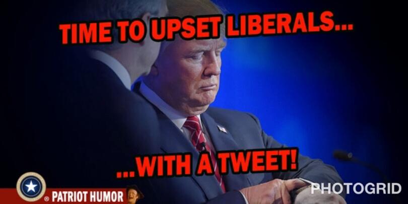 johnfig53444170's tweet photo. Trump is a tweety bird..."I taw i saw a puddy cat!" https://t.co/XGkA1FjWg0