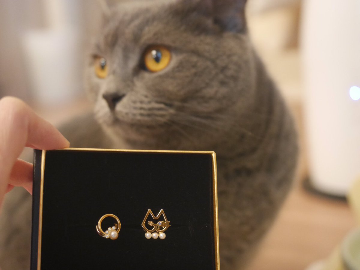 【完売品】ete エテ ハッピーカムカム ニャーリング 9号 ゴールド 希少　猫 再値下！【新品】ete [ハッピーカムカム] ビジュー ネコチャン リング