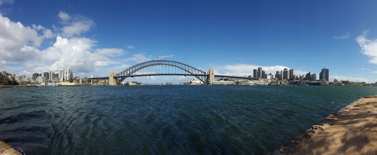 Joinau's tweet photo. #Sydney you are looking mighty fine today. #BluesPoint https://t.co/PS2p5R8H8G