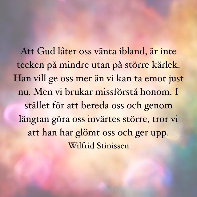 kristnacitat's tweet photo. #WilfridStinissen - https://t.co/hE3UeF7h0s https://t.co/mfJsCSTih5