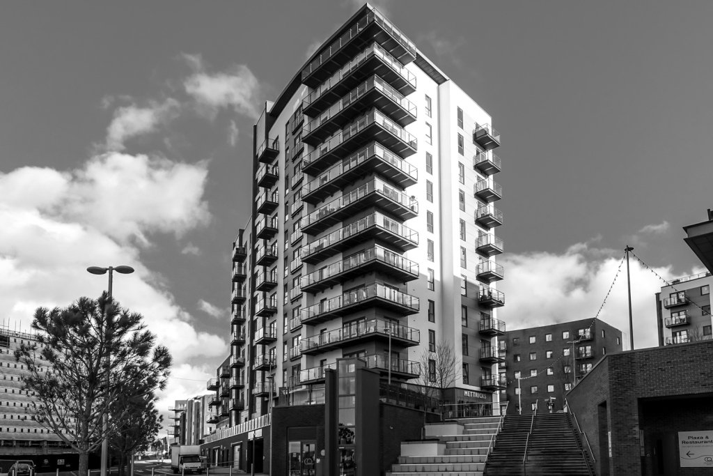 sotonmono tweet media