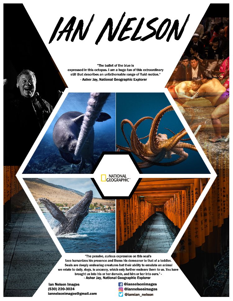 CMManagement's tweet image. Pleased to add Ian Nelson to our roster as one of the most sought after oceanography photographers out there, as featured in @NatGeo