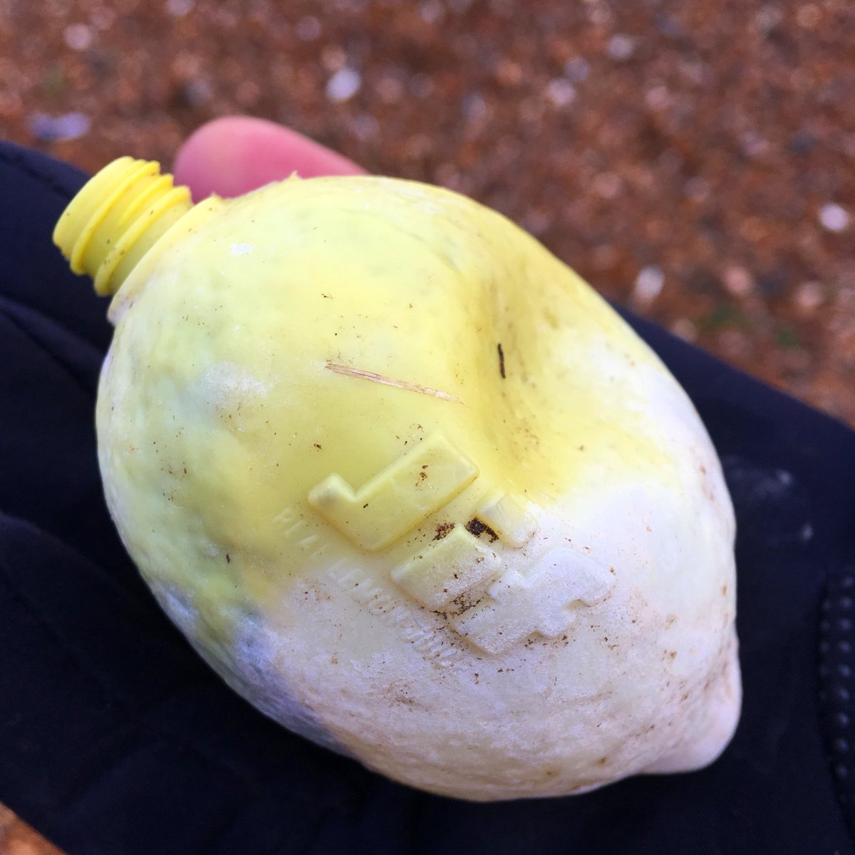 WildlifeGadgets's tweet photo. When life gives you lemons...

#plastic #plasticpollution #beachclean #plasticawareuk #2minutebeachclean https://t.co/PFFkbWc5NO