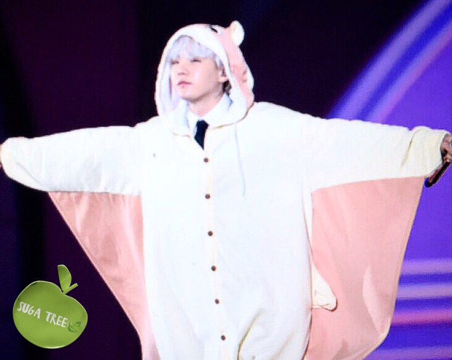 eclipsuga's tweet photo. i want this suga glider so bad https://t.co/a8P6gIcUw0