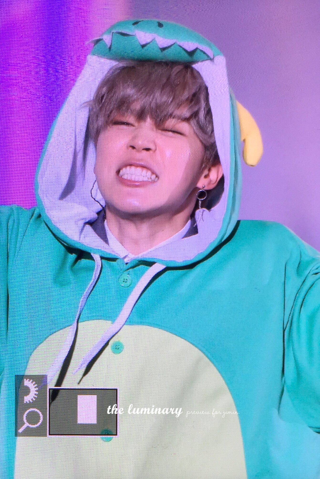 Bts dino hoodie new arrivals