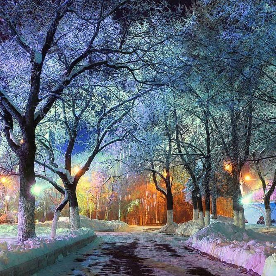 kestrel1177's tweet photo. Snowy Evening in Vologda City Park by Kichigin Sergey https://t.co/8ChUB0hr3M