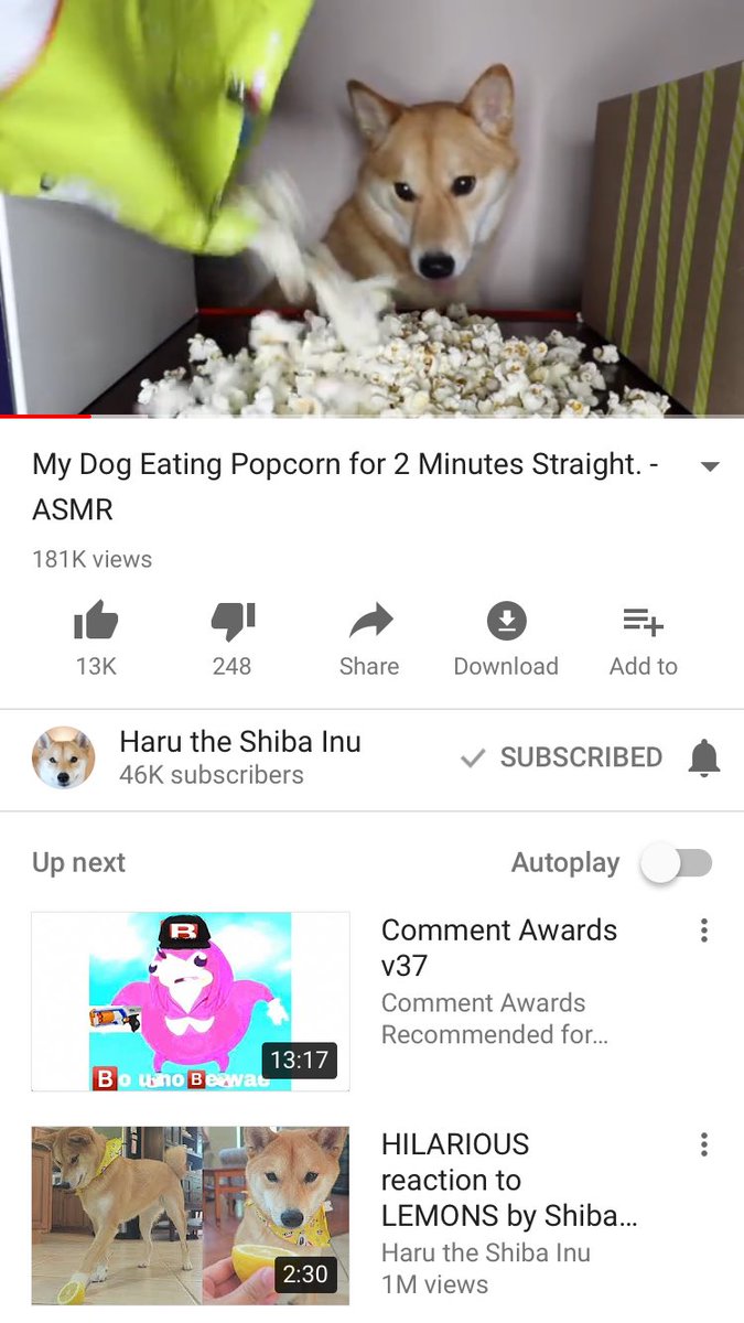 // 5 a.m. n o  s l e e p  boy