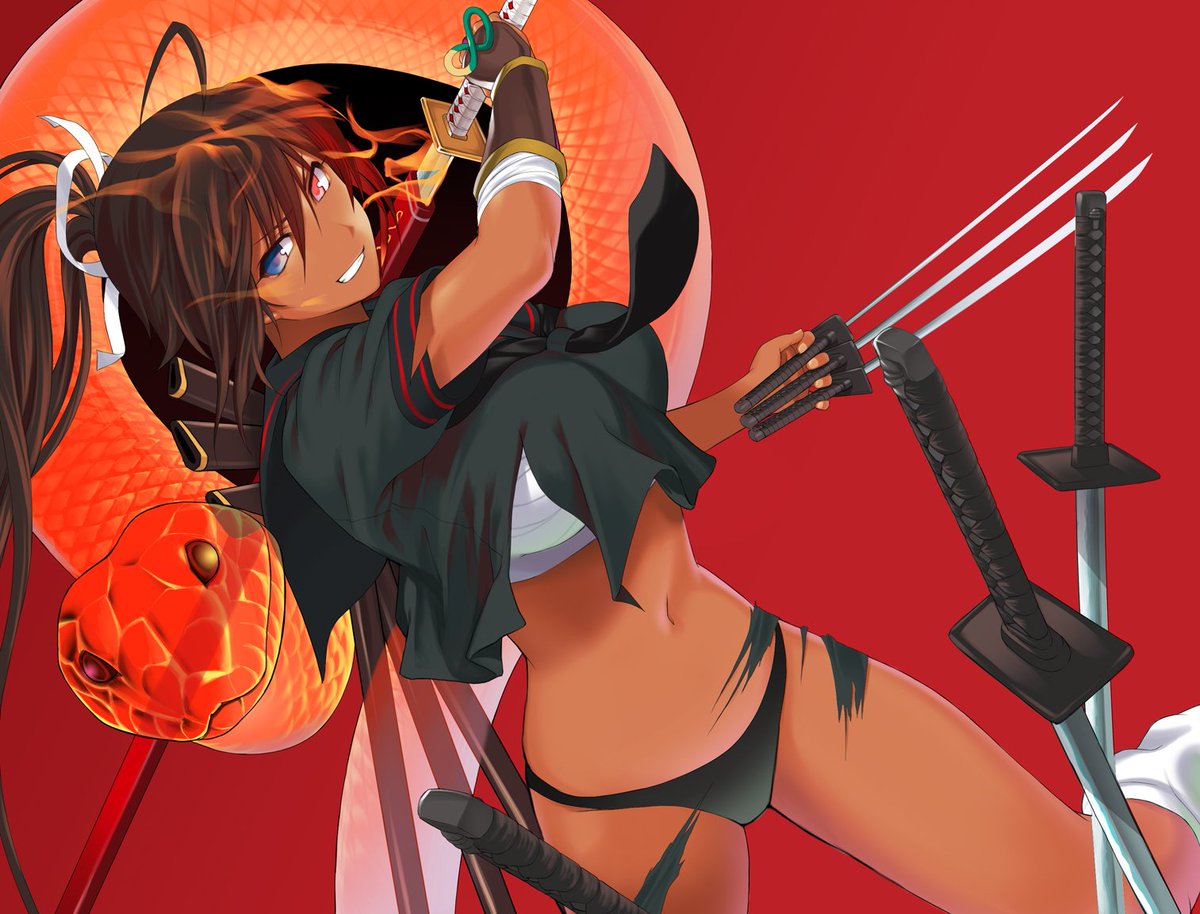 五百円貯金箱 Cg集発売中 閃乱カグラより焔ちゃん