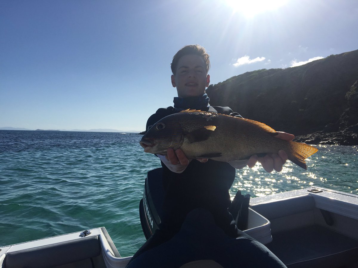 PhilikyFishing's tweet photo. Sneek peek into on my YouTube video being uploaded with in the next day so if you haven't subscribed yet please do so you dont miss out gets much better than the picture ➖➖➖➖➖➖#fishing #sprearfishing #redthroat #cod #barramundicod #honeycombcod # https://t.co/md5Gi6udYQ