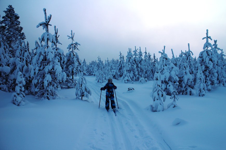 KivaaTekemista's tweet photo. Rauhaa rakastavien unelma #talvilomakohde löytyy #Sodankylä'stä: Lapinkylä #Kierinki! >>> https://t.co/XEJqJ7EXFr #kaamos #lappi #talviloma https://t.co/EiOKHyZpTh