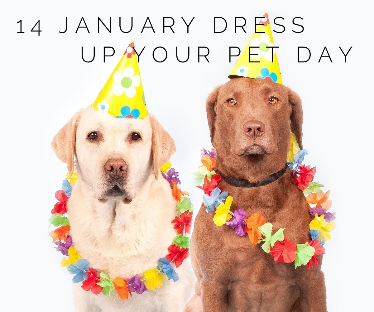 Clean9_FeelFine's tweet photo. • TODAY IS DRESS UP YOUR PET DAY •

Really google it@
Can have so much fun with this
LETS SEE THOSE PETS
🐕🐩🐈🐱🐎🐇🐁🐊

Please tag me so I dont miss your pets photo - love to see

#HappySunday #DressUpYorPetDay #14January #Pets #CuteAnimals #Cats #Dogs #Hamsters #CutePets https://t.co/38DgOifQwE
