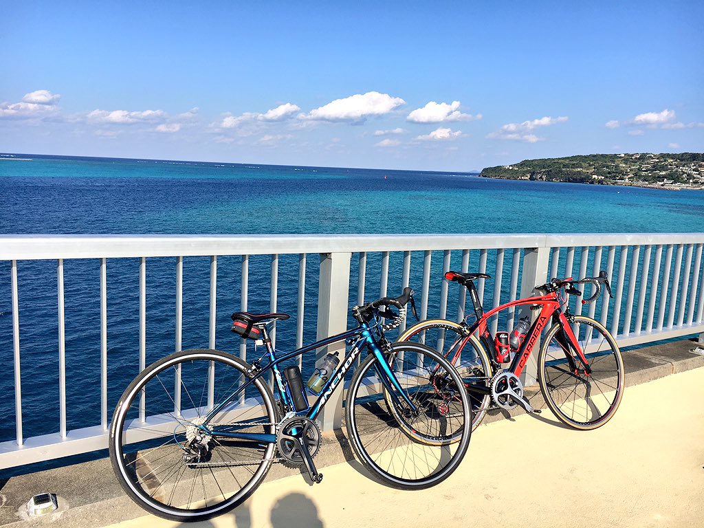驚くばかり美ら島 壁紙 最高の花の画像