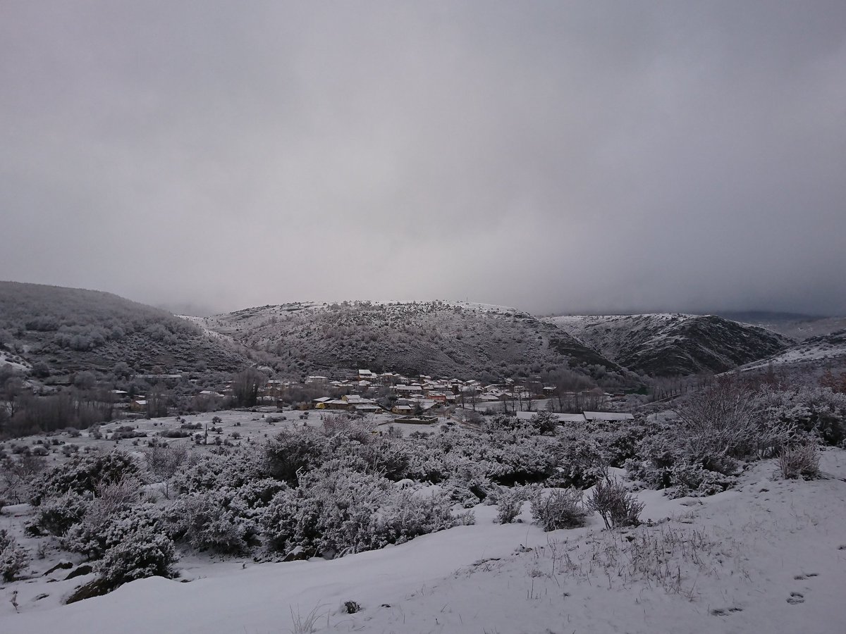 Nueva nevada la de anoche que suma a lo que había caído. Cerca de 10 días ya con nieve #BarbadilloDelPez #SierraDeLaDemanda #Burgos #LaponiaBurgalesa 🌨 🌬 ❄