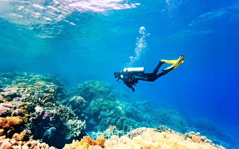 Beniconnect's tweet photo. Do you love Scuba Diving?
Discover the different spots la Comunidad Valenciana has to offer. #costablanca #comunidadvalenciana #benidorm #moraira #calpe #albir #altea #escapes #scubadiving #diving #holidays #tours #beniconnect https://t.co/7yHJwUcWMc