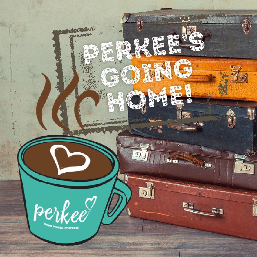 perkeecoffee's tweet photo. The long journey is about to start. This time tomorrow #Perkee will be in the air, flying back to Nicaragua to find out how the famous #PerkeeCoffee bean is grown and what gives it such a great taste. #PerkeeTours #PerkeeBeantasticAdventure #Fairtrade https://t.co/wdtcclP3x8