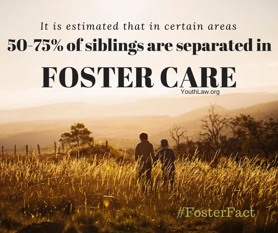FFYVoices's tweet photo. Can you think of anything that can be done to improve this situation? Please share your thoughts here and/or on our Facebook page! Like and follow to learn more! 
https://t.co/rZCaLmmX79
#FosterParenting #Fosterparent #Fosterchild #Fosteralumni #FFYV https://t.co/TllICpqT6k