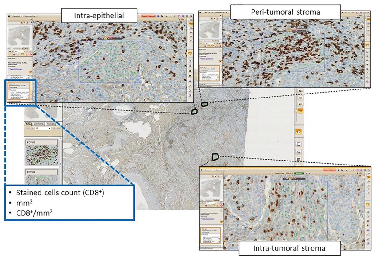 download complex structures