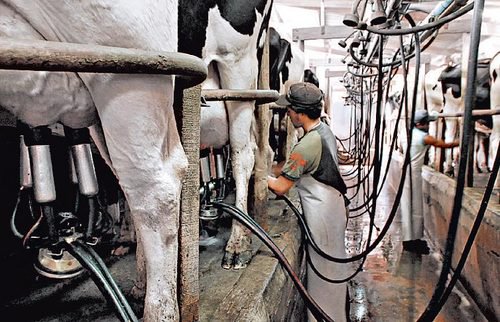 ernesto_talvi's tweet photo. Un país de base agropecuaria/agroindustrial, no puede darse el lujo de convivir con el agro sumergido y sin rentabilidad, dejando muchos productores por el camino, especialmente más pequeños.No sólo es un tema económico, sino de erosión de la familia rural y del tejido social https://t.co/MfRa9mWVST