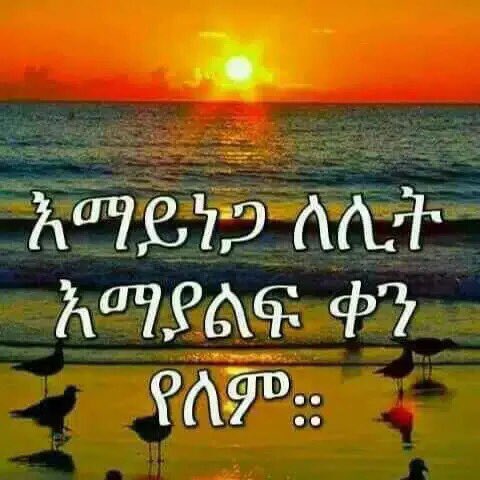 mulu (@mulu02715353) on Twitter photo 