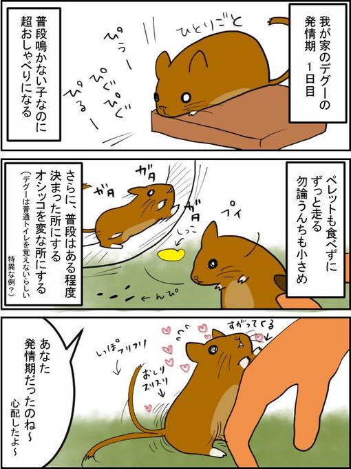 デグー を含むマンガ一覧 リツイート順 5ページ ツイコミ 仮 デグー を含むマンガ一覧 リツイート順 5ページ ツイコミ 仮