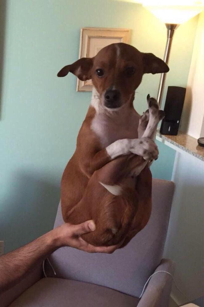 when you're at the movies and someone has to walk in front of you in the aisle