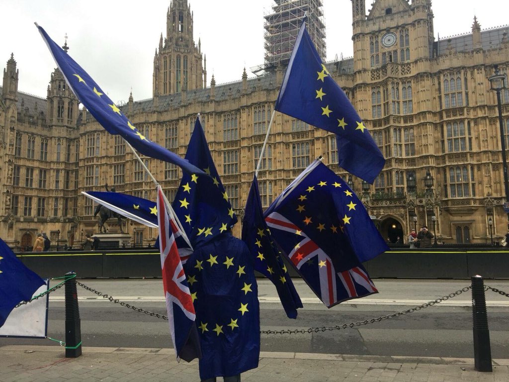 RemainingKind's tweet photo. #SODEM protests are EVERY day the MP's are stitting .@No10Vigil is every Mon, Wed, Friday. Why aren't you there? Can't just be down to .@snb19692 and a handful of people. Be there #StopBrexit full stop https://t.co/U0foxUq1rW