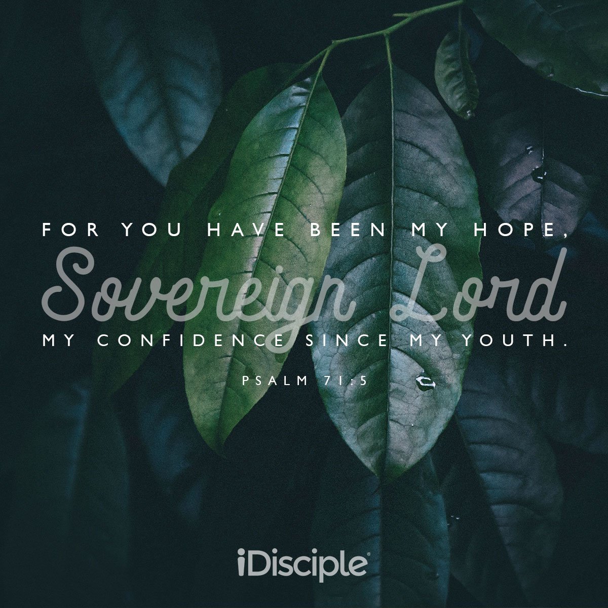 iDisciple tweet media