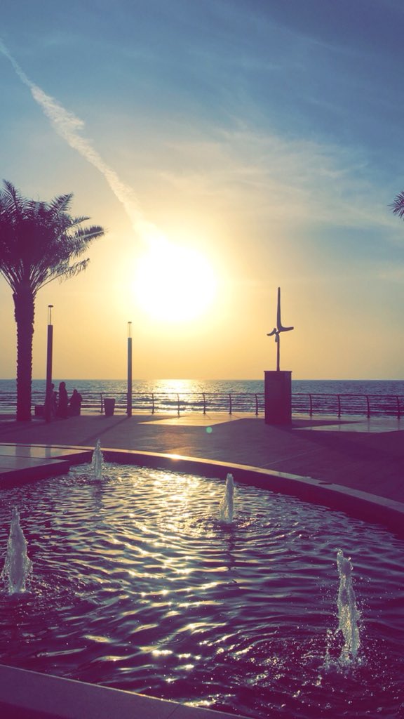ياسِر tweet media