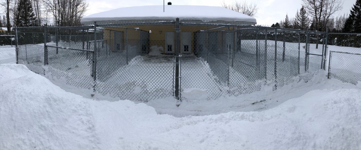 Centre Canin TEG (CCTEG) Twitter