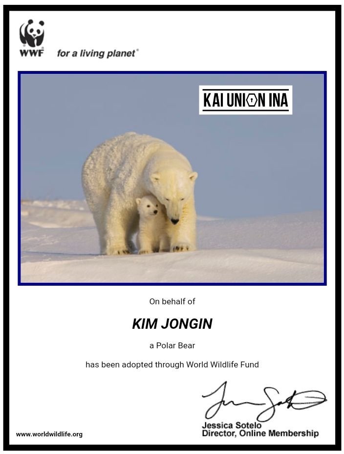 Kai Union Indonesia tweet media