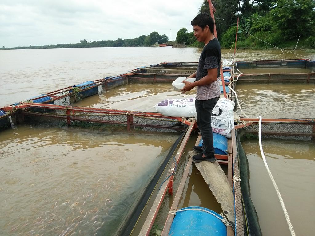 ekogp's tweet photo. kunjungan ke pembudidaya ikan nila di KJA
pak maisuri 22 KJA 
desa pematang pulai kec. sekernan kab. muaro jambi
@BudidayaKKP https://t.co/SwcyJPj1hP