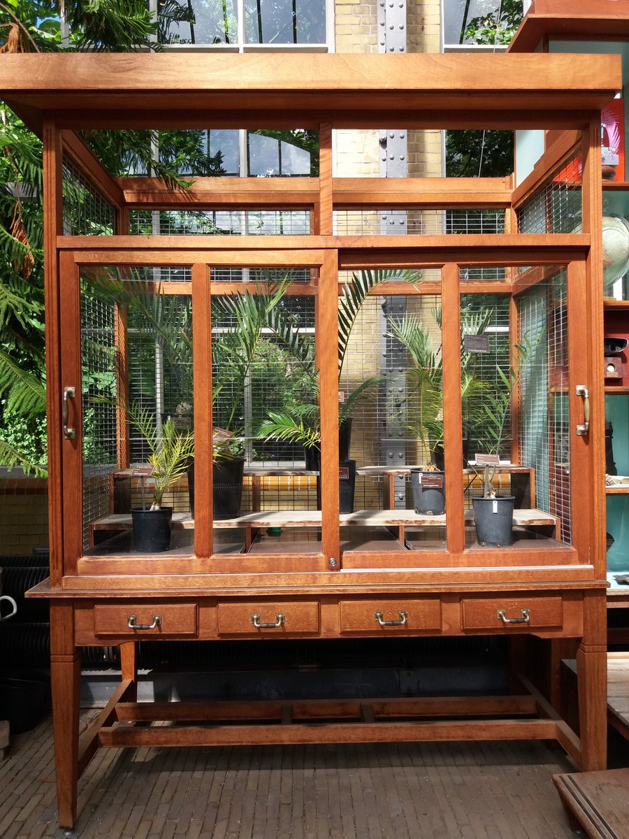 appgiardiniera's tweet photo. In inverno molte piante non tollerano basse temperature, per garantirgli la sopravvivenza fino a primavera occorre procedere a ritirarle in serra https://t.co/fiooFJcInd #serre #pottingshed #gardening #garden #piante #plants #polliceverde #cactus #succulents #cactacee #giardino https://t.co/Y2rF8wwURG