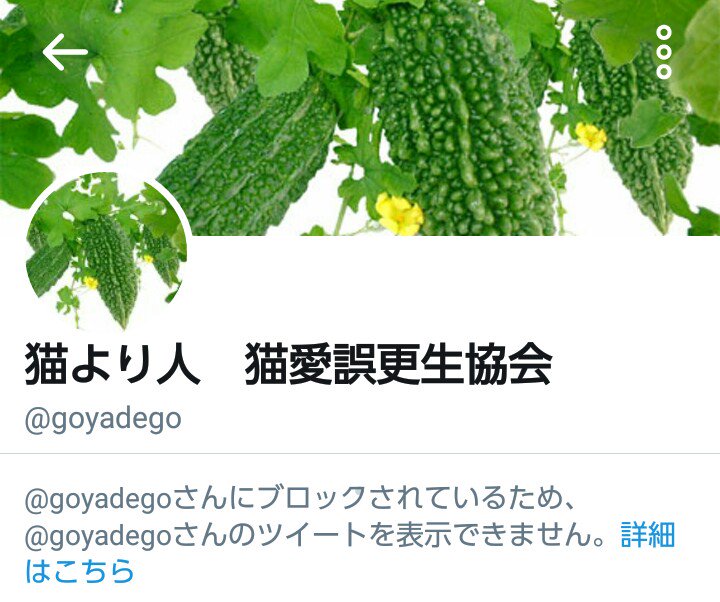 AZ1PA's tweet photo. ブロック祭りか(爆)

ぷーだから暇🆓🆓だろ？ https://t.co/kquid7GU6a