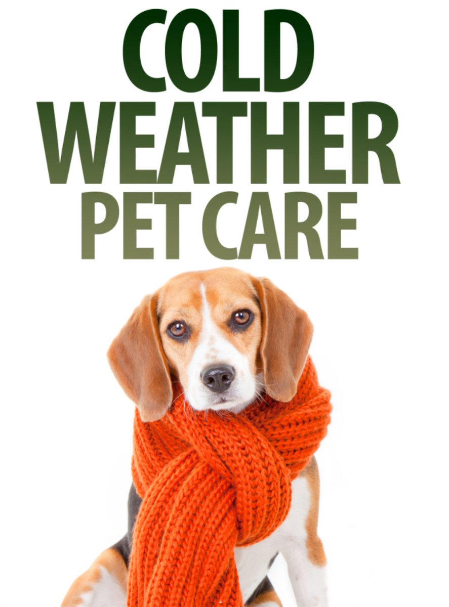 CharlotteReed's tweet image. If you live in one of the 50 coldest cities (in these states: AL, MI, ND, MN, IL, SD, MA, ID, MT, WI, NY, WY, NV, ME, CO &amp;amp; { NEhttps://usat.ly/2D43TMU} )  join us for the #ColdWeatherPets Twitter Party. We are sharing our #petcare tips.  
bit.ly/MyColdWeatherP…