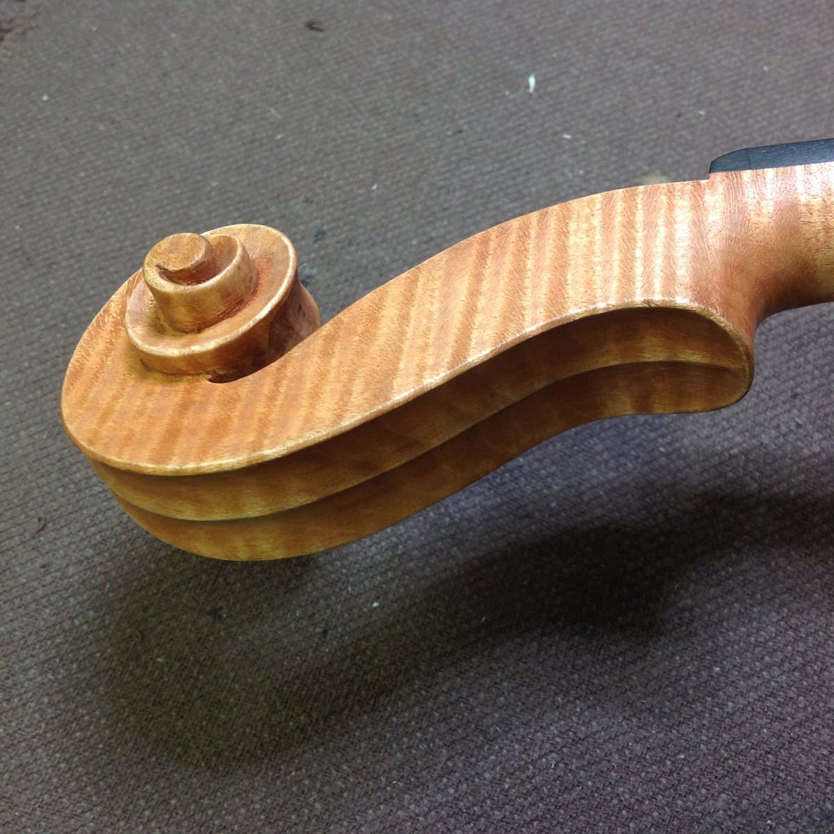 UnisonViolin's tweet photo. unfinished violin neck
ニス塗り前の白木のネック

#violin #violinmaker #unison #東京西多摩 #handmadeviolin #madeinJapan #HirokazuKato #加戸宏和 #バイオリン #バイオリン製作 #バイオリン製作者 #手作りバイオリン #stringinstrument #luthier #Tokyo #Japan #弦楽器 https://t.co/20At4xLOpR