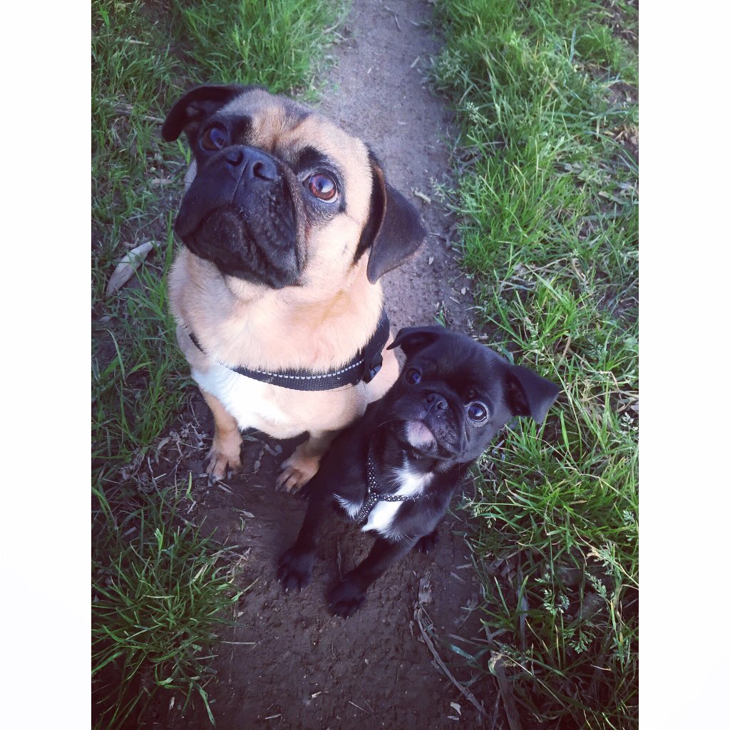 damn_dimples's tweet photo. @lucyflight My boys 💙 https://t.co/KwyGy7tVTs