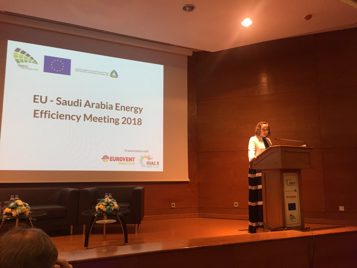 EU has a long-standing partnership with #GCC through the EU-GCC Cooperation Agreement, signed 30 30 years ago. #Energy sector boasts with the longest cooperation under this agreement and with visible results says <a href="/BergerLucie/">Lucie Berger</a> at the opening of the #EnergyEfficiency Meeting