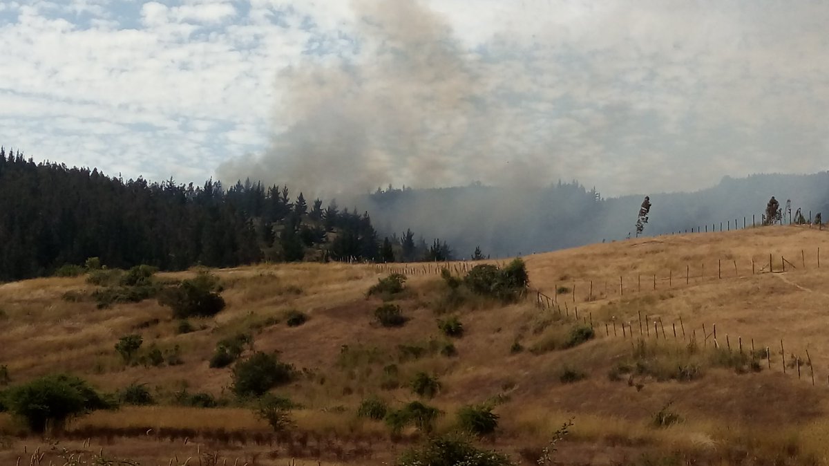 MarceBustaman's tweet photo. 16:10 llamado I.F sector las viñas.
Trabajan en el lugar bomberos de Paredones, Lolol, Nilahue, 2 helicopteros,3 brigadas.
@RNECharlie6 @RNEOHIGGINS https://t.co/znWZjSpWl7